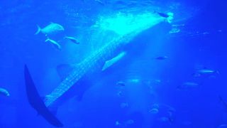 朝９：００はすんなり入れました