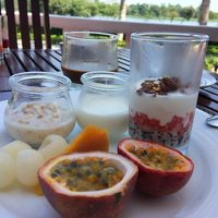 フルーツもヨーグルトもおいしい！