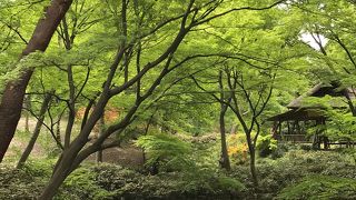 モミジの中にひっそり佇む趣ある東屋