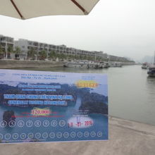 クルーズのチケット