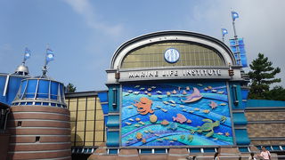 潜水艇に乗り込み、可愛い魚たちに会いに行けます