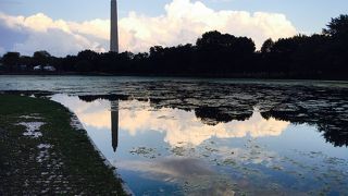 ここからワシントン記念塔を眺めるのも良し