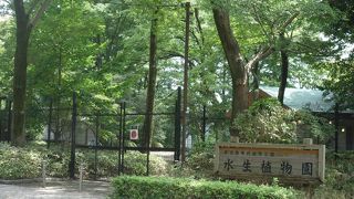 深大寺へお参りの帰りに立ち寄りました