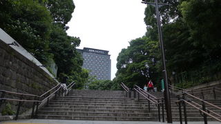 色濃い緑が印象的です