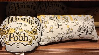 クッションも充実のホームストア