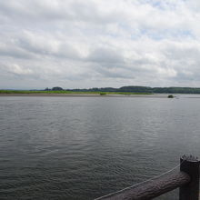 遠くに水鳥が・・・