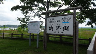 夏は訪れる人の少ない湖