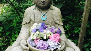 紫陽花に包まれて