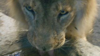 札幌観光の定番