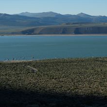 ビジターセンター裏手のテラスや遊歩道から見えたモノ・レイク。