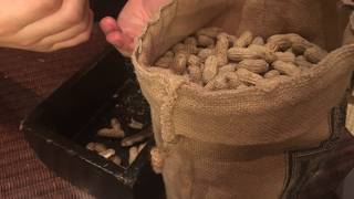 シンガポールスリングが飲めるバー！