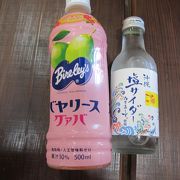 石垣島鍾乳洞の出口にあり、お土産物のほかに飲料も売っていました。