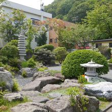 枯山水の岩の間にも花が咲いていました