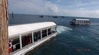 世界遺産のバリアリーフは、一面のディープブルーに、ところどころにスカイブルーが入り混じっていました