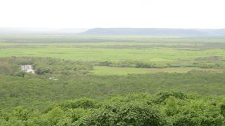 確かに釧路湿原は一望できるが
