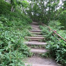 駅からは階段強烈です