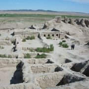 古代遺跡の上から荒野を見渡す