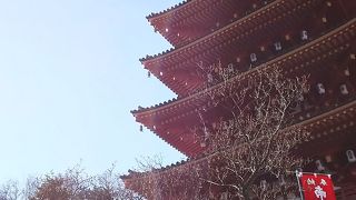 四季折々楽しめます