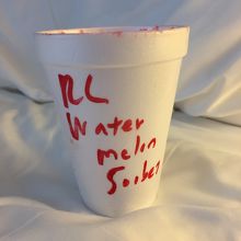 ウォーターメロンのシャーベット