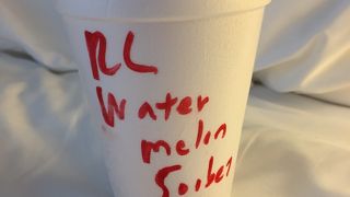 果物をギュッと凝縮シャーベット