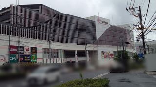 近くで見るとちゃんとサクラ色でした