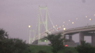 夜の風情がまた良かったです