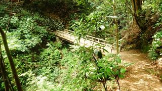 いろいろなコースがあります