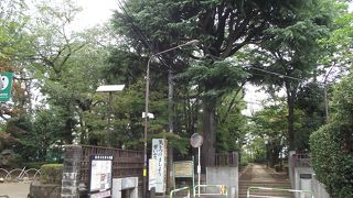かつては青雲寺の境内の一部だったところ とのことです