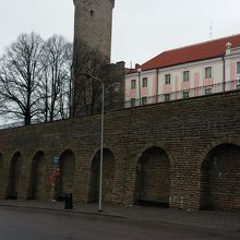 エストニアの旗