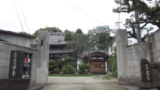 かなり大きな本堂の両脇に枝垂桜や石碑などがある寺院です