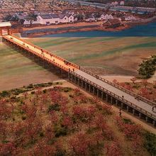 福井市立郷土歴史博物館には九十九橋の模型があります。