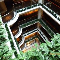 上からロビーを覗いてみました。