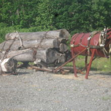 付近には、幌加内の開拓時代を彷彿とさせる展示も見られます