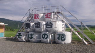 そばの町の広大なそば畑を堪能できるスポットです