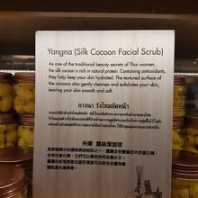 シルクコクーンの解説