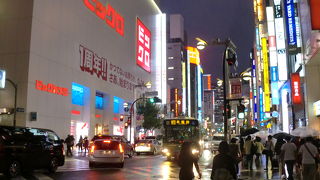 名前は面白いが。