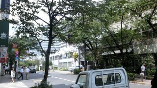 桜の名所になるのはずっと先か