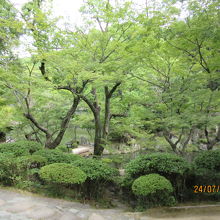 見応えある庭園