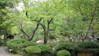 見どころ多数の大名庭園 