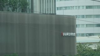 夏休みで大人気の博物館