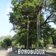 ボルブドュール遺跡を中心としたとても広い公園