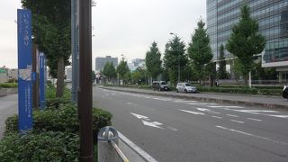 緑が美しいいちょう並木でした