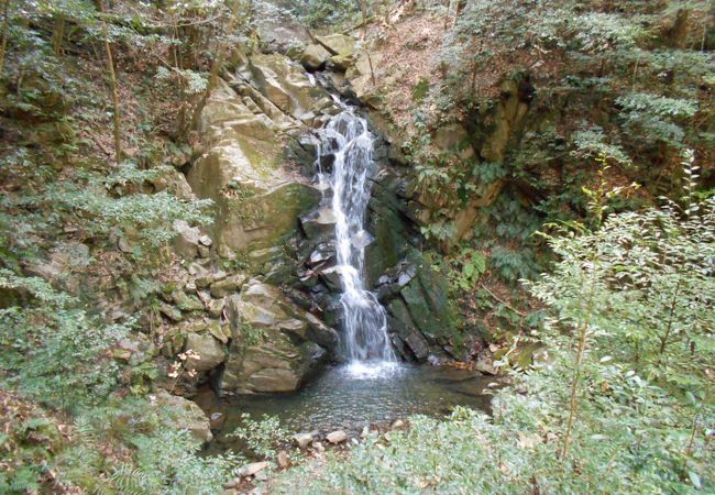 春日山原生林ハイキング
