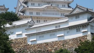 大分落ち着いてました