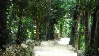 おとぎ話の世界