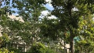 屋上庭園は素敵です