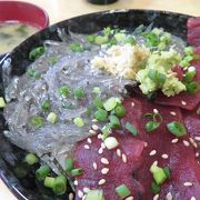 三崎といえばマグロですが、しらすも美味