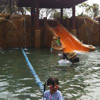 子供から大人まで、楽しめます。