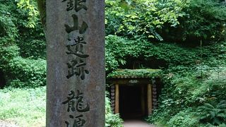 広範囲のためレンタサイクルを使うことをお勧めします。