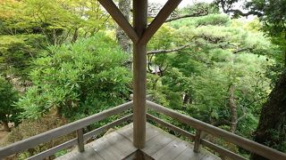 小さいけど立派な日本庭園